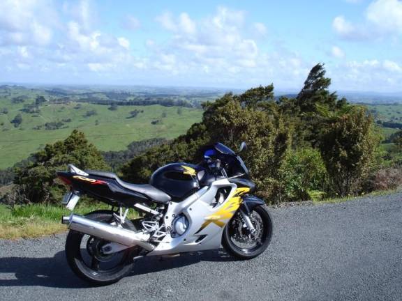 kaipara-to-leigh-