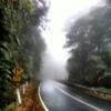 Motorcycle Road grafton-rd--hernani-nymboida- photo