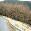 Motorcycle Road a483--llandovery-- photo