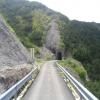 Motorcycle Road monte-zoncolan--sp123- photo