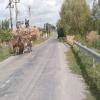 Motorcycle Road babadag--murighiol-- photo