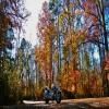 Motorcycle Road sumter-national-forest-2- photo