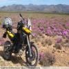 Motorcycle Road breede-river-to-sutherland- photo