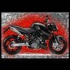 Motorcycle Traveller Avatar Image