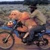 Motorcycle Traveller Avatar Image